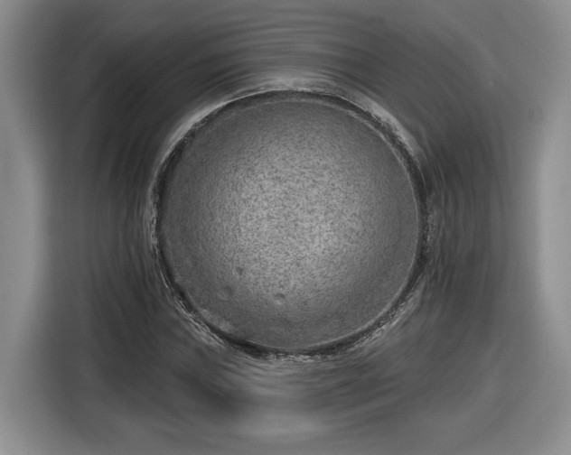 X0000116631019200912181320