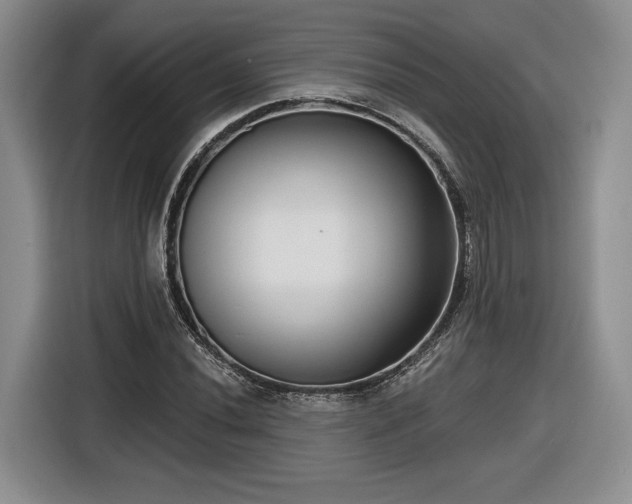 X0000116631020200912181321