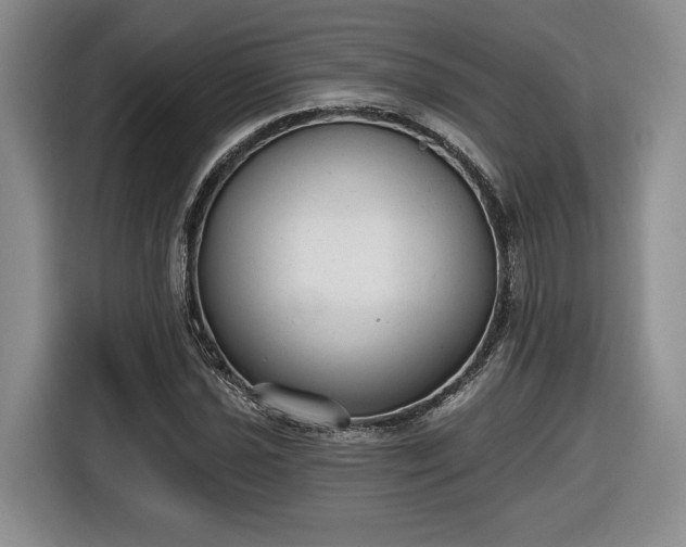 X0000116631021200912181321