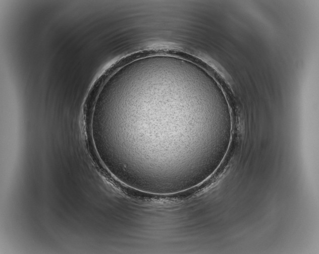 X0000116631022200912181321