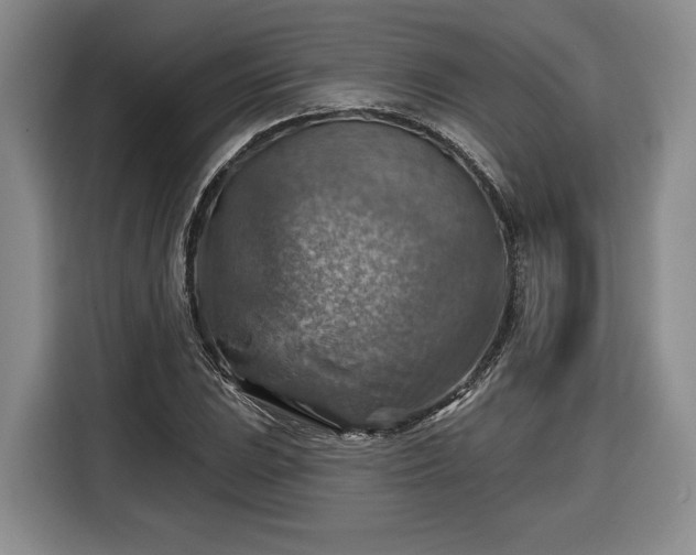 X0000116631023200912181321