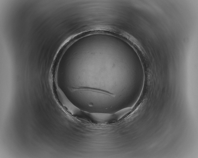 X0000116631024200912181321