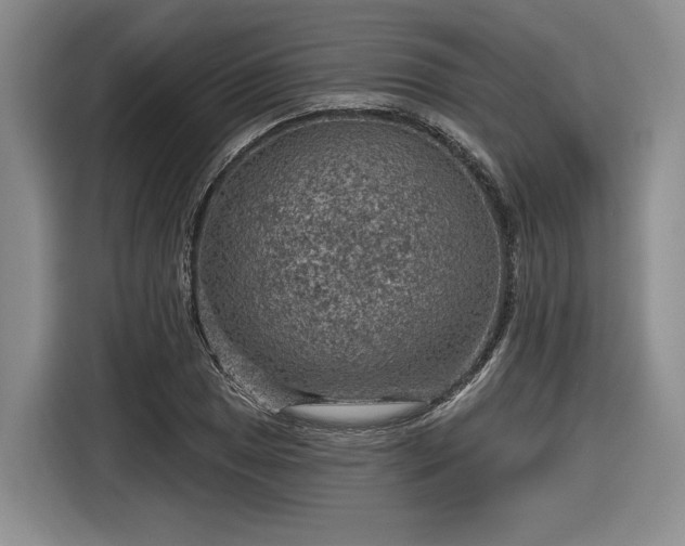 X0000116631025200912181321