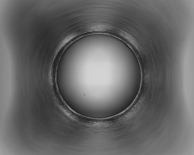 X0000116631026200912181321