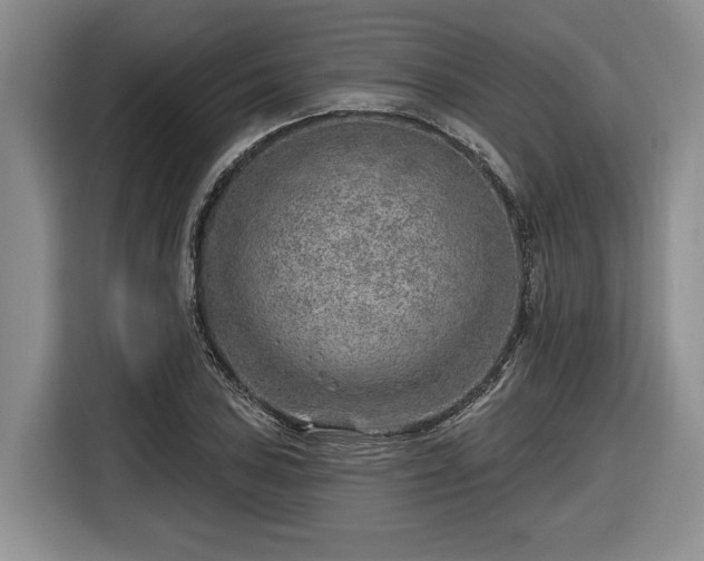 X0000116631027200912181321