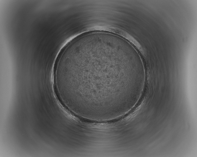 X0000116631028200912181321