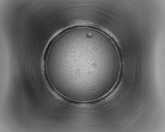 X0000116631029200912181321