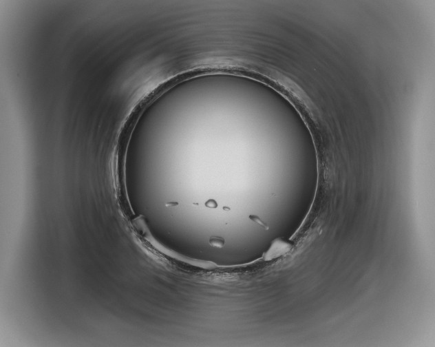 X0000116631030200912181321