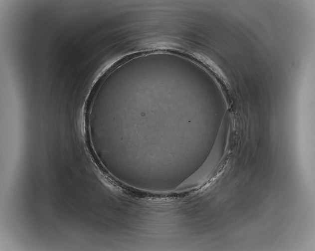 X0000116631031200912181321