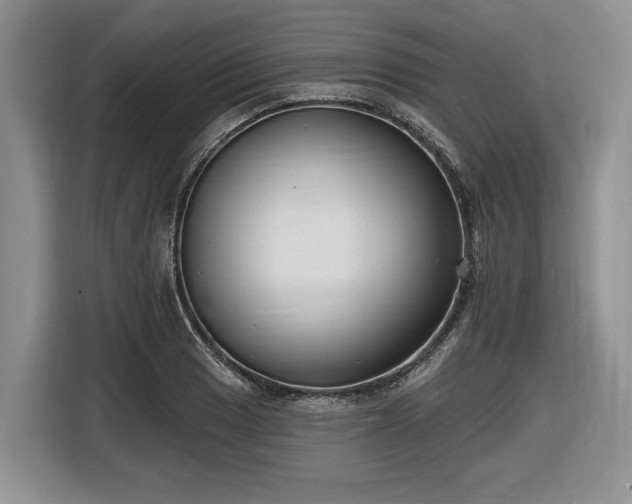 X0000116631033200912181321