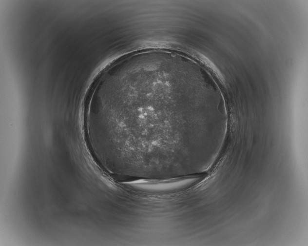 X0000116631035200912181321