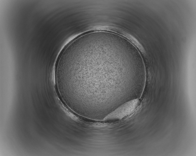 X0000116631036200912181321