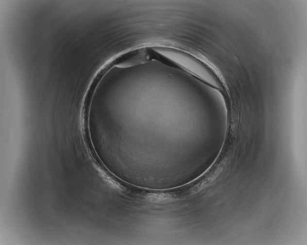 X0000116631037200912181321