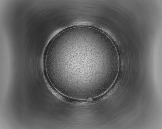 X0000116631038200912181321