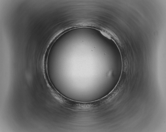 X0000116631039200912181321