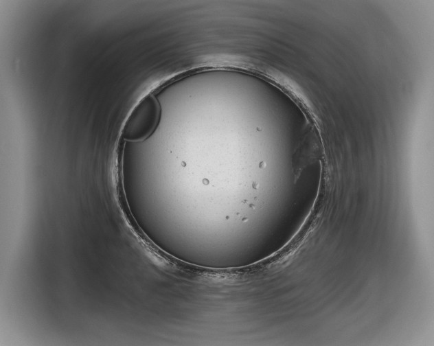 X0000116631040200912181321