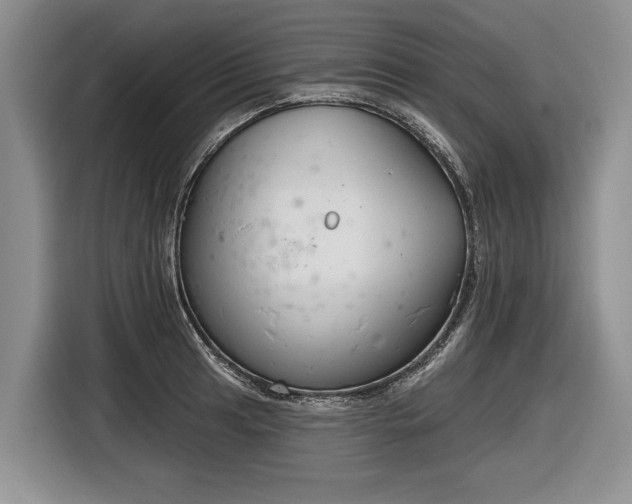 X0000116631041200912181321