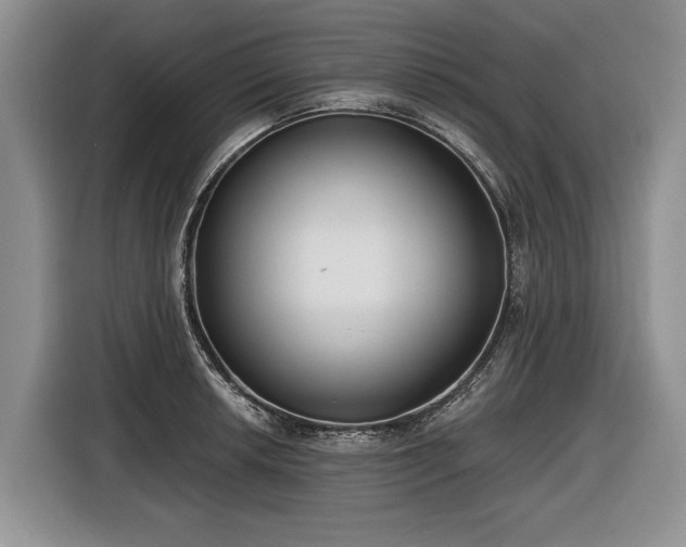 X0000116631042200912181321