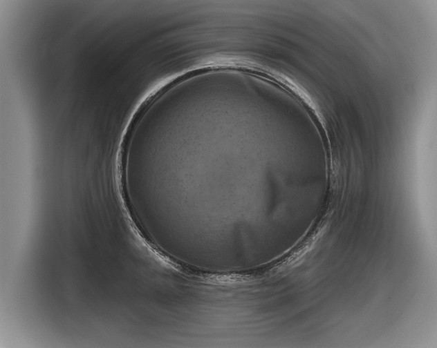 X0000116631045200912181321