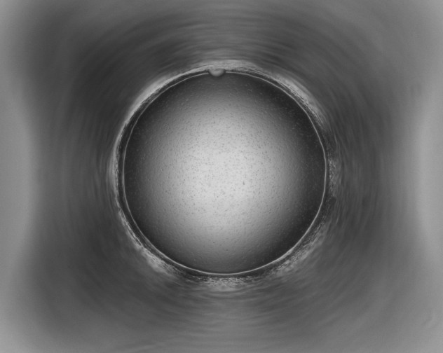 X0000116631046200912181321