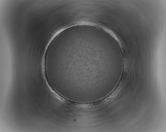 X0000116631048200912181321