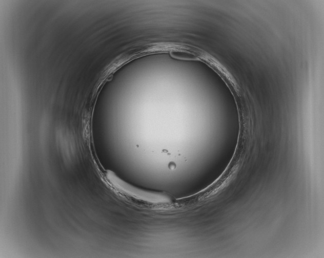 X0000116631049200912181321