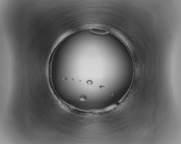 X0000116631050200912181321