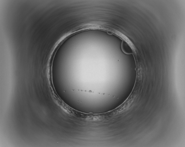 X0000116631051200912181321