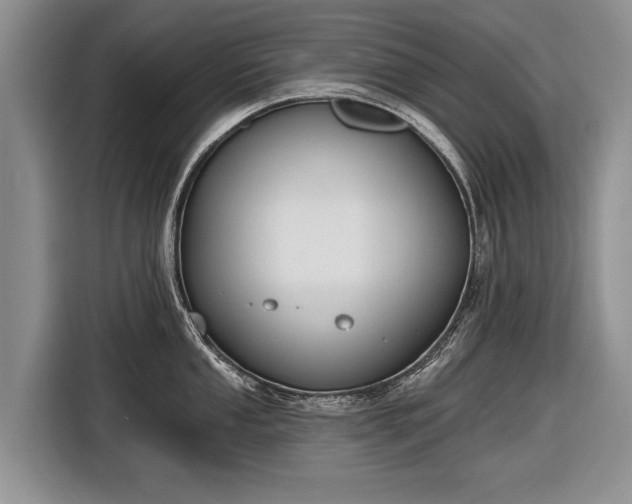 X0000116631053200912181321