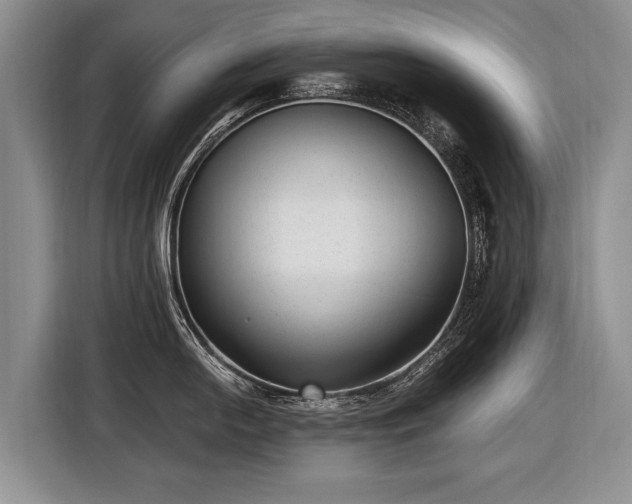 X0000116631054200912181321