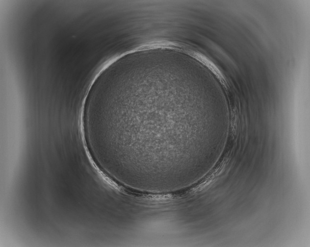 X0000116631055200912181321