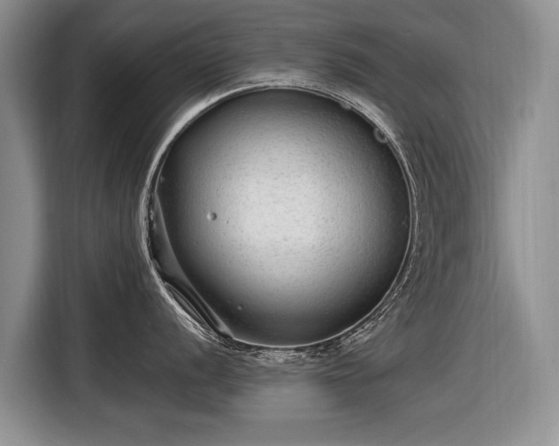 X0000116631056200912181321