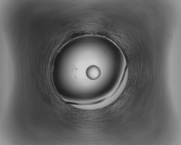 X0000116631057200912181320