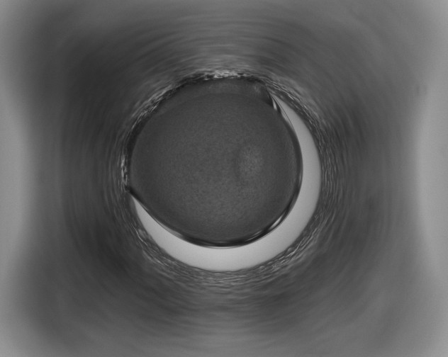 X0000116631060200912181320