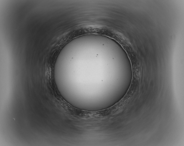 X0000116631061200912181320