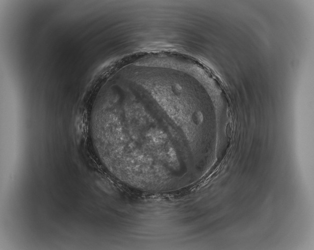 X0000116631063200912181320