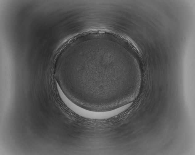 X0000116631064200912181320