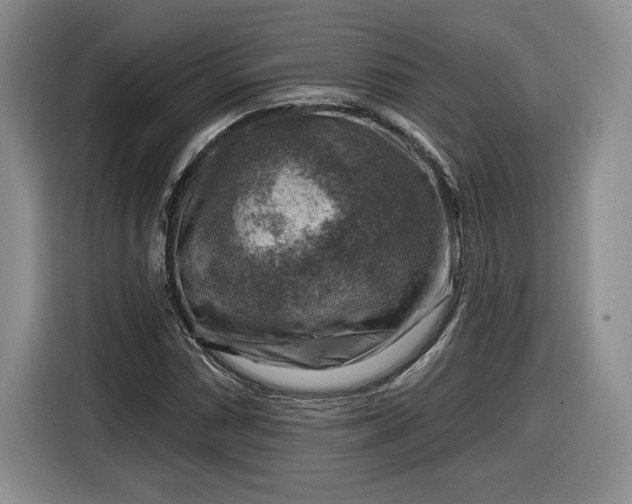 X0000116631066200912181320