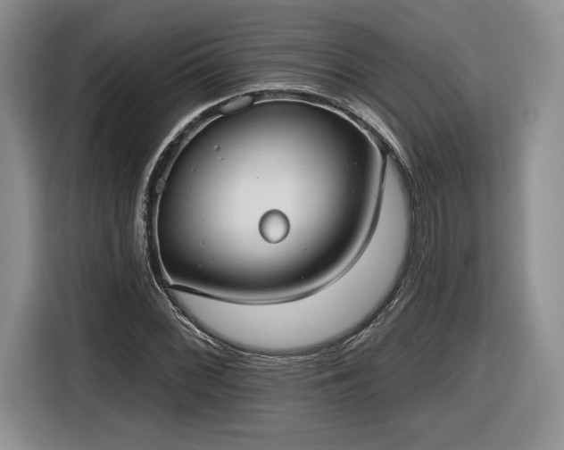 X0000116631068200912181320