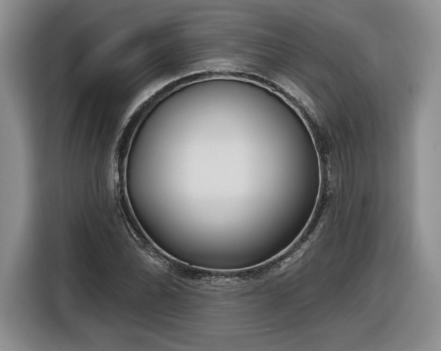 X0000116631070200912181320