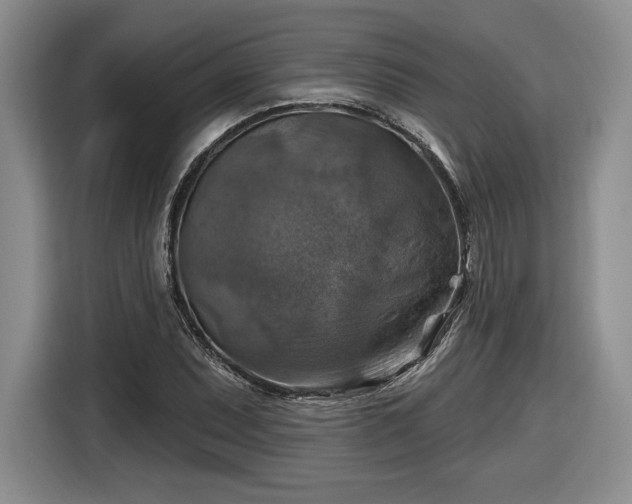 X0000116631071200912181320