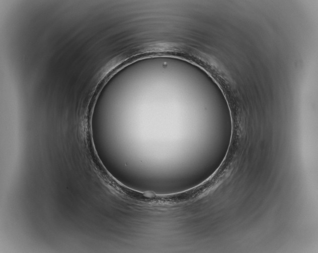 X0000116631073200912181320