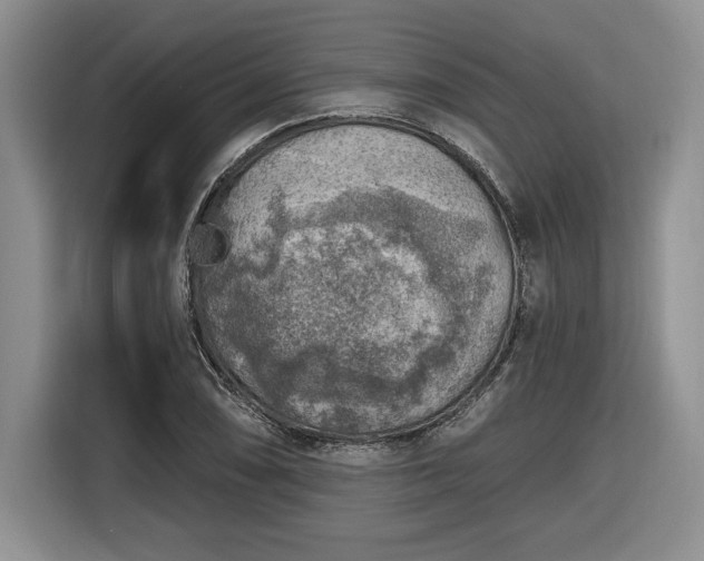 X0000116631074200912181320