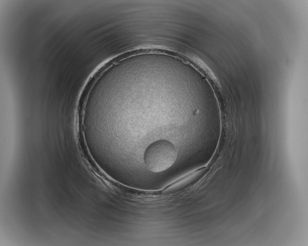 X0000116631076200912181320