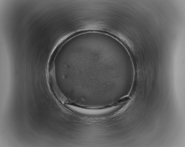 X0000116631077200912181320