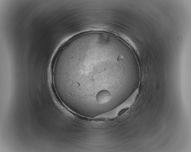 X0000116631080200912181320