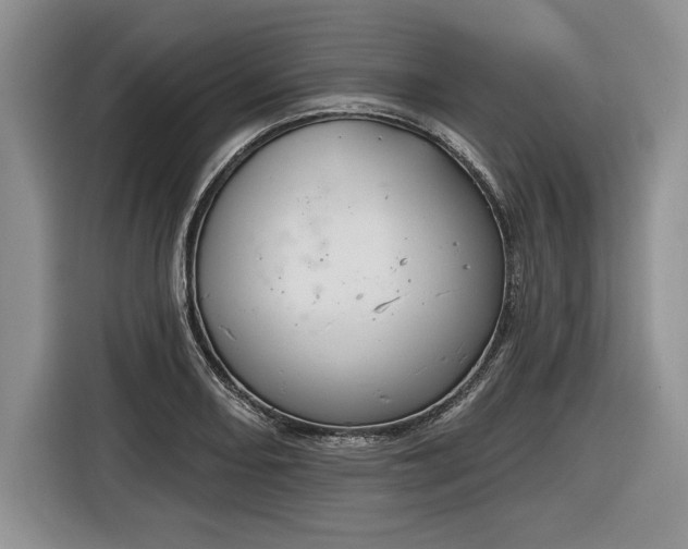 X0000116631082200912181320