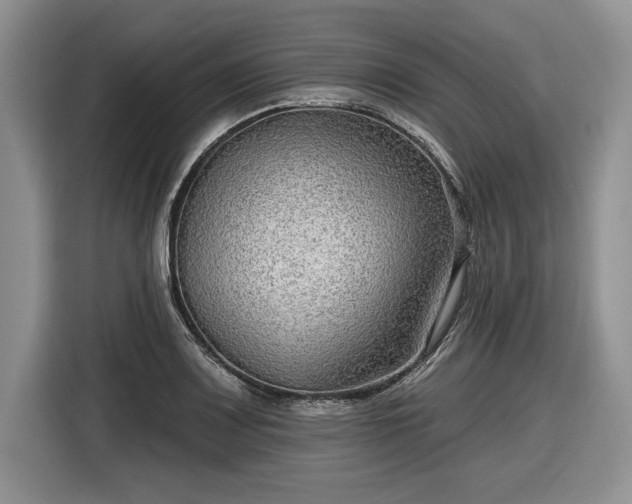 X0000116631083200912181320