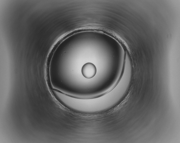 X0000116631085200912181320