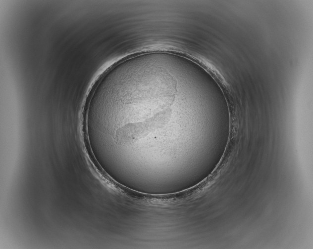 X0000116631086200912181320